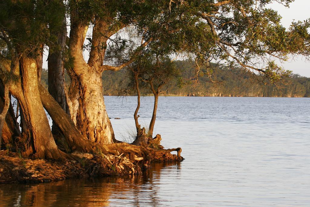 Nrma Myall Shores Holiday Park Bulahdelah Kültér fotó